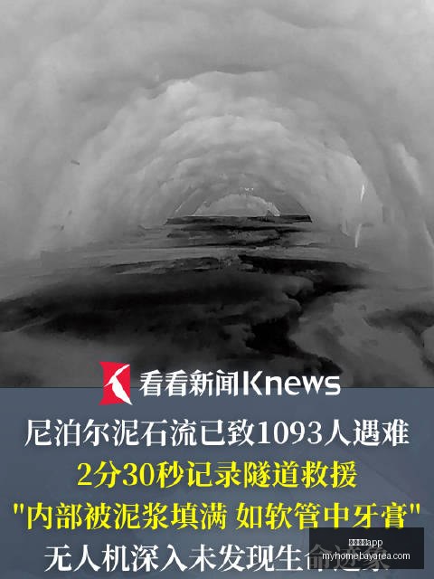 荣耀电竞新,品亮相,技术突破引,威尼斯人app官网,威尼斯人app下载,威尼斯人app登录,威尼斯人app平台